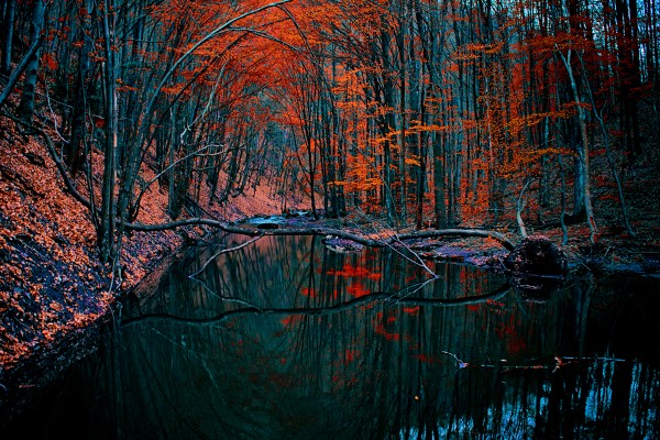 Autumn 02_OSG by One Simple Gallery